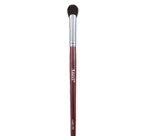 Ancci Ruby 10 Eyeshadow Brush For Discount