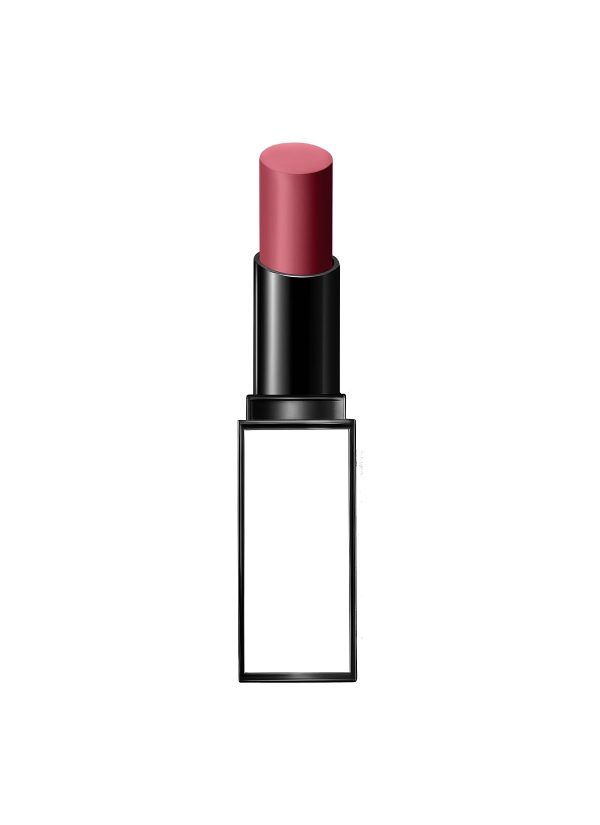 Tom Ford Private Rose Garden Lip Color Satin Matte Limited Edition Hot on Sale