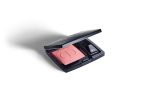 Dior Rouge Blush Sale