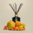 Trudon REGGIO Home Fragrance Diffuser Hot on Sale