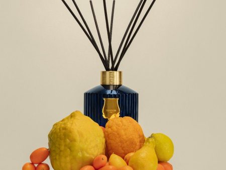 Trudon REGGIO Home Fragrance Diffuser Hot on Sale