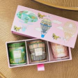 Baobab Collection Trio Travel Candles Online