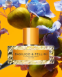 Vilhelm Parfumerie Basilico & Fellini Eau De Parfum Sale