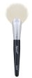 Ancci TR 39 Short Fan Brush Hot on Sale