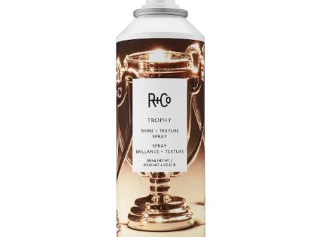 R+Co Trophy Shine + Texture Spray Sale