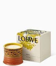 Loewe MIMOSA Scented Candle Fashion