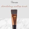 Osmosis Stimulating Scallop Brush Online now