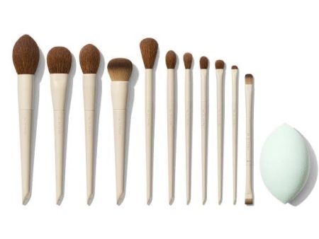 Morphe x Ariel Signature Look 12-Piece Face + Eye Brush Set Sale